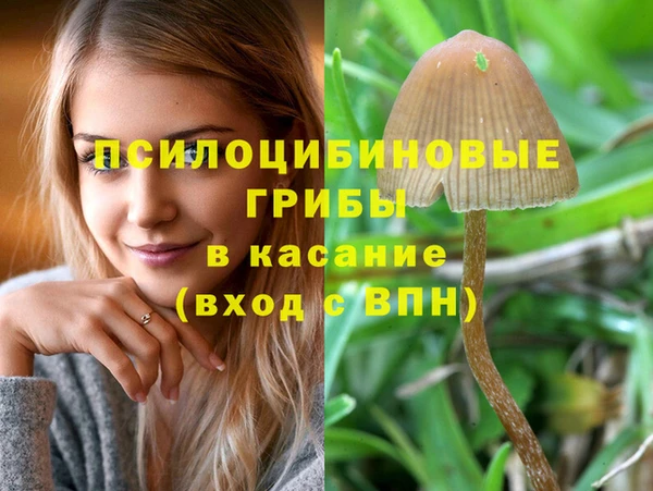 2c-b Баксан