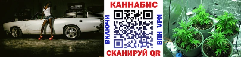 omg маркетплейс Зима Каннабис Amnesia